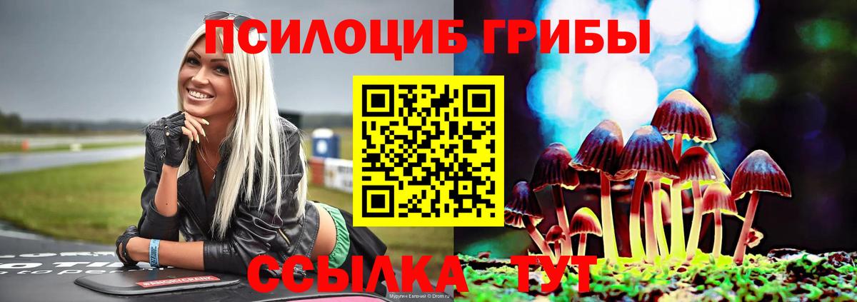 Юрга  Псилоцибиновые грибы MAGIC MUSHROOMS  Галлюциногенные грибы Psilocybine cubensis  Вход с VPN 