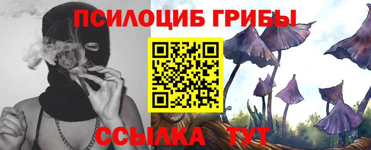 Псилоцибиновые грибы прущие грибы Юрга